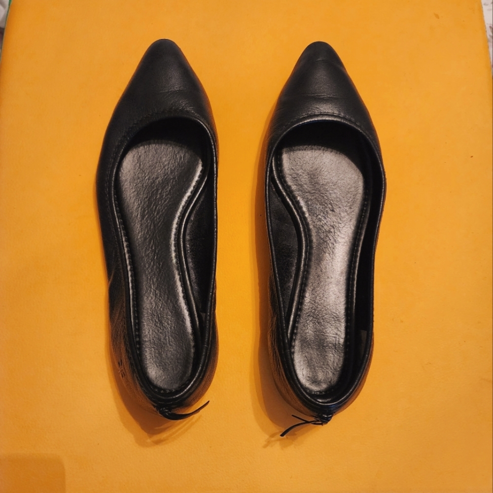 Frye flats